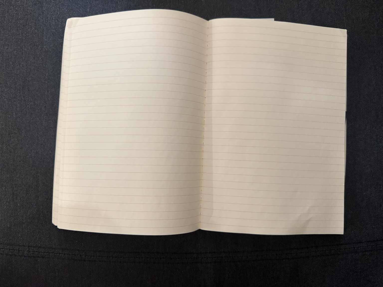 Your actual blank journal photographed open on dark fabric