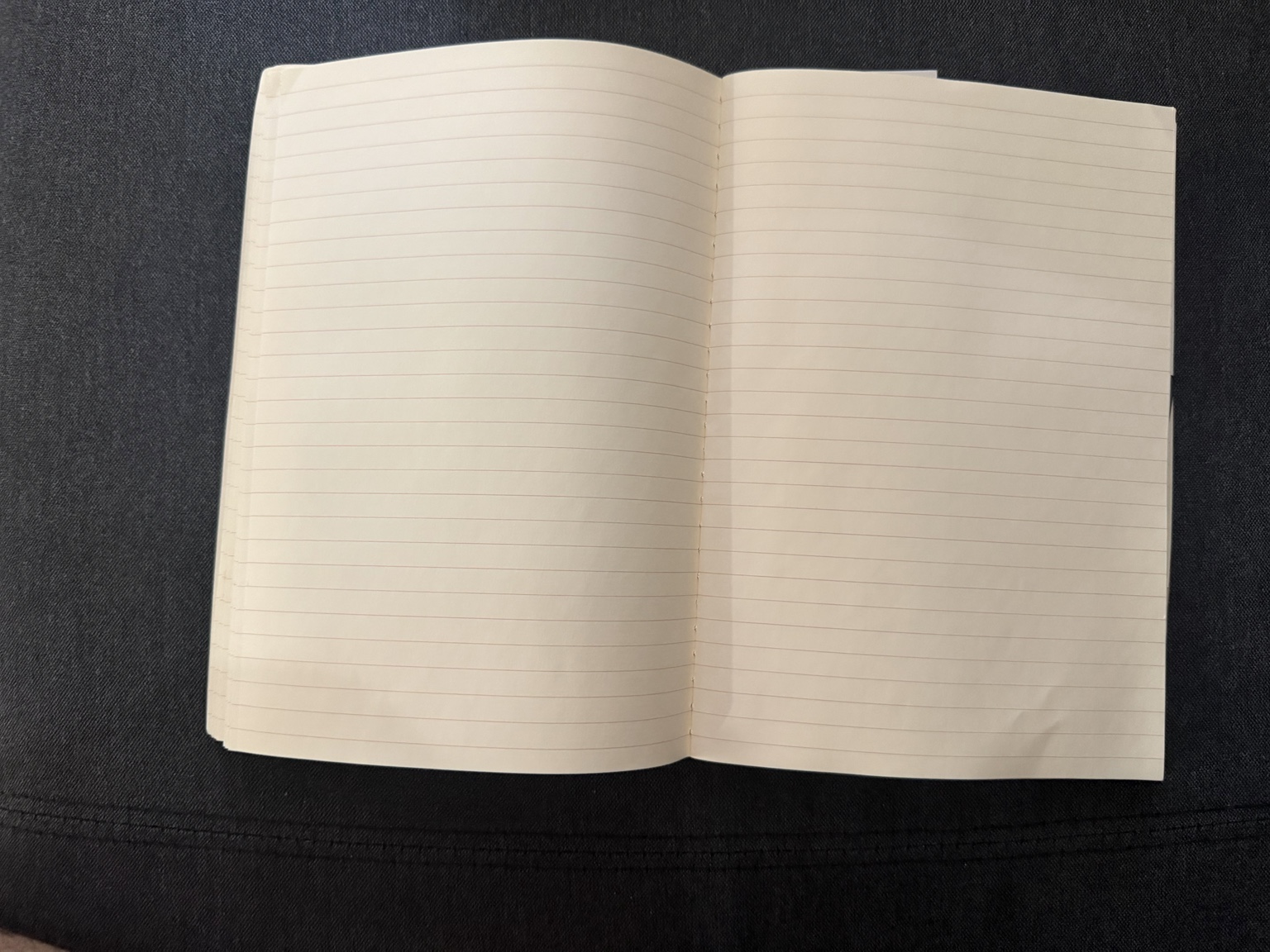 Your actual blank journal photographed open on dark fabric